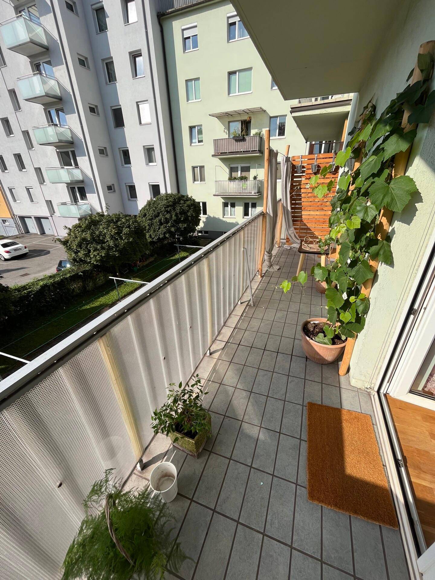Sonniger Balkon mit Fliesenboden, Pflanzen und Blick auf die umliegenden Gebäude.