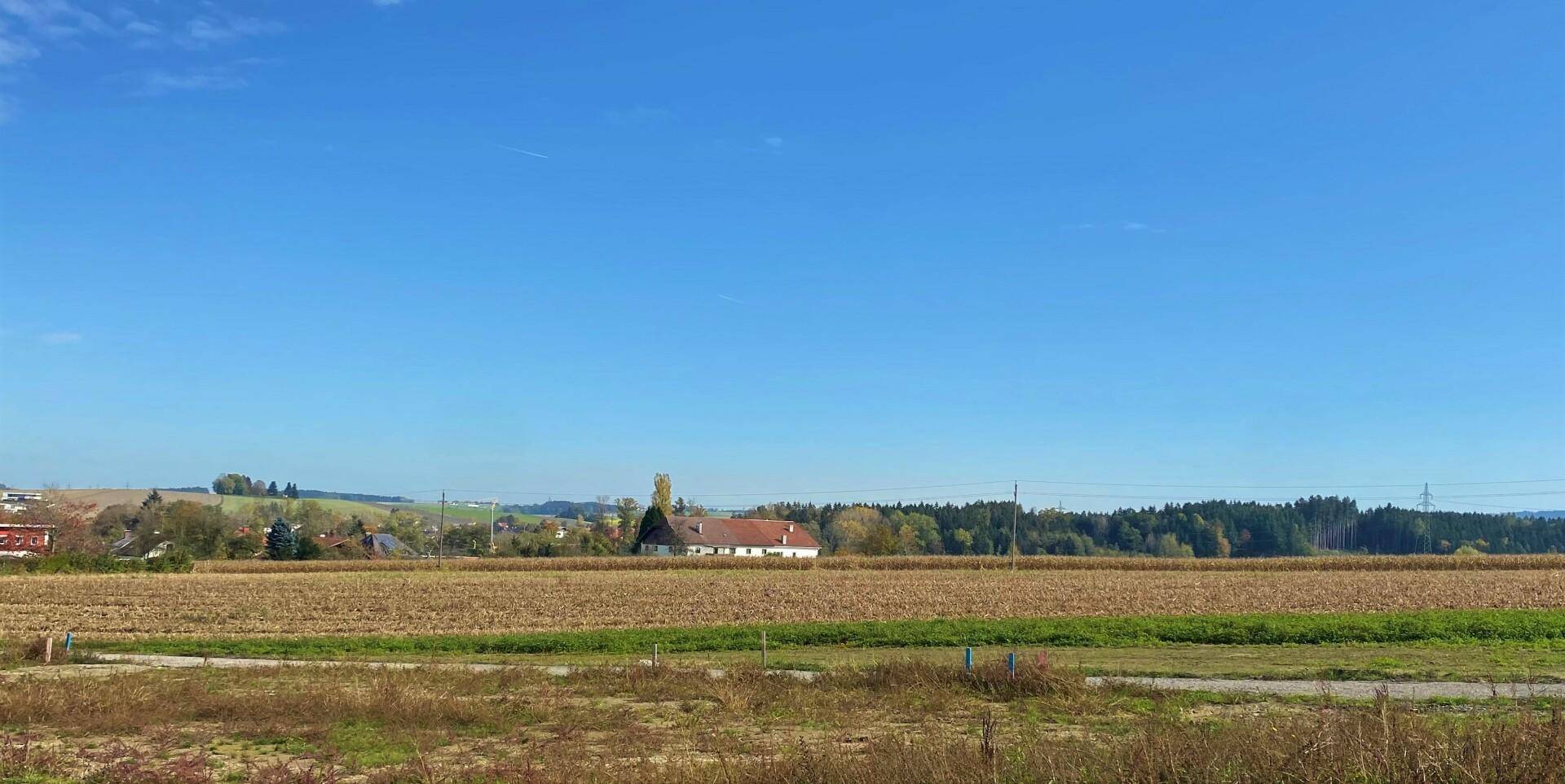 Ausblick ins Grüne