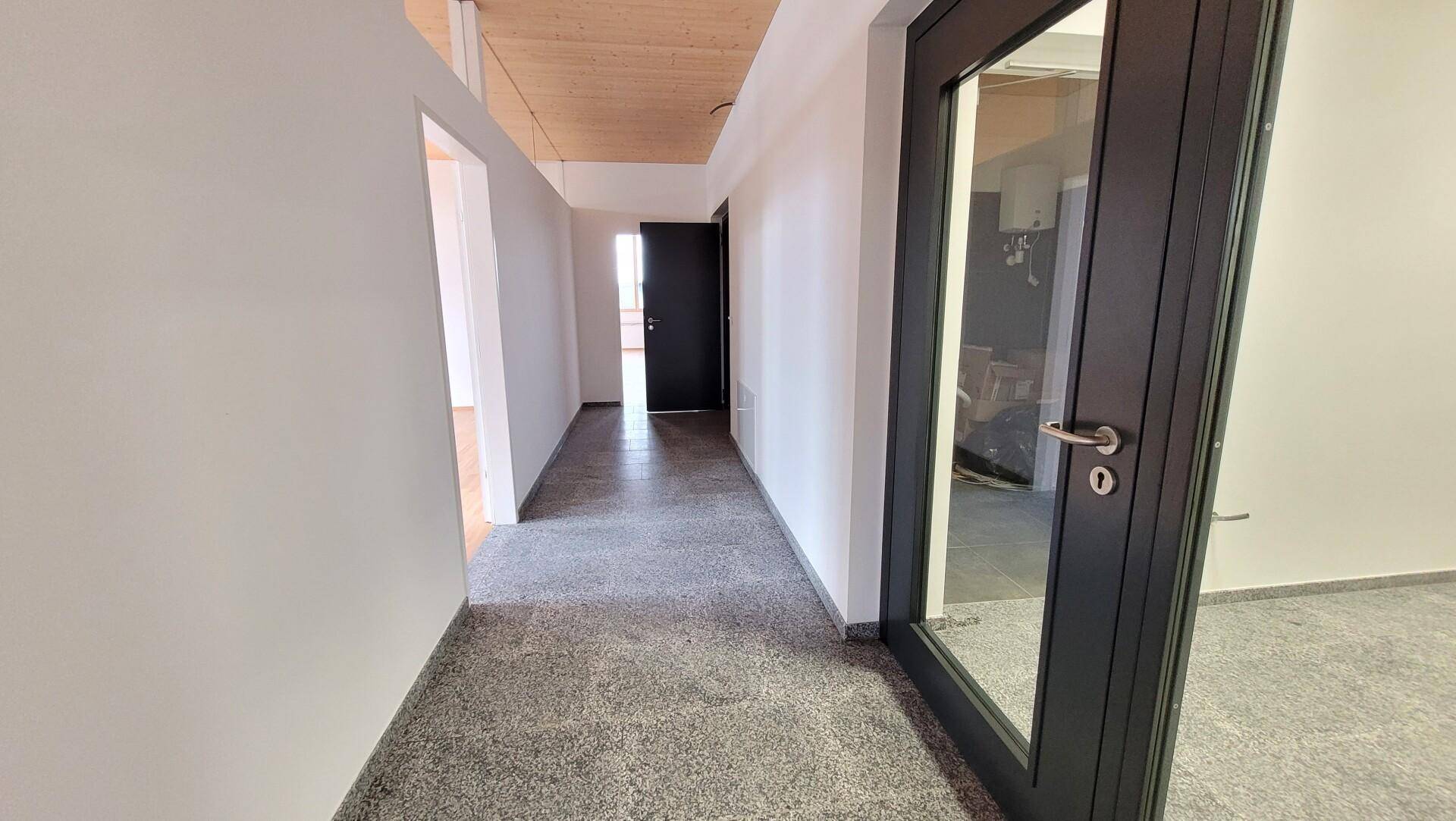 Heller Flur mit einer Glastür, der zu weiteren Räumen führt, mit gemischtem Bodenbelag und Holzdecke im Hintergrund.