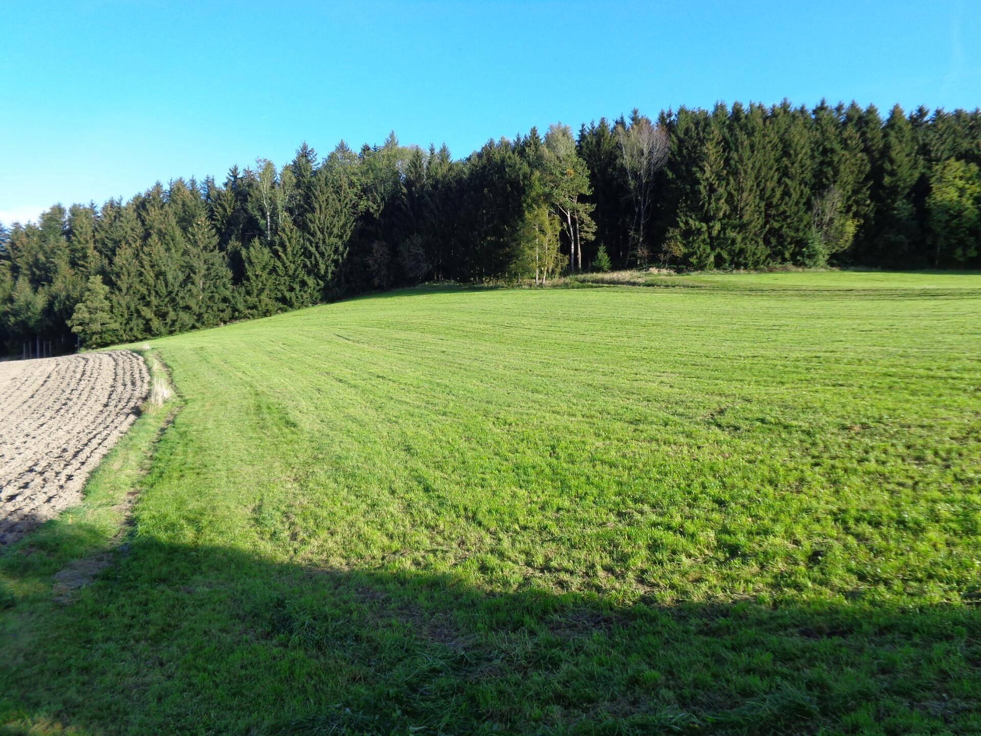 LN-Grund + Wald kann zusätzlich erworben werden