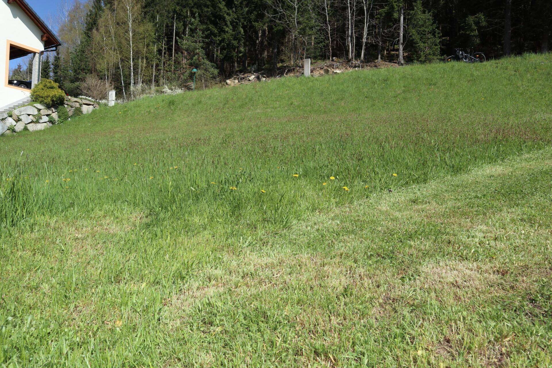 Weitläufige grüne Wiese mit einem Haus am Rand und einem Wald im Hintergrund.