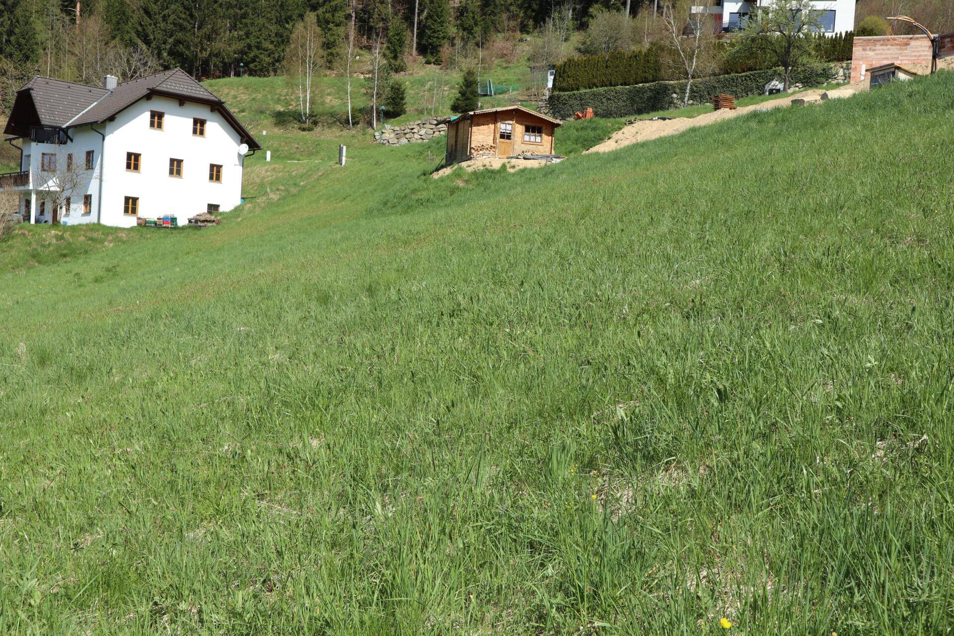 Weißes Wohnhaus mit braunem Dach auf einem grünen Hügel, umgeben von Natur und einem kleinen Holzschuppen.