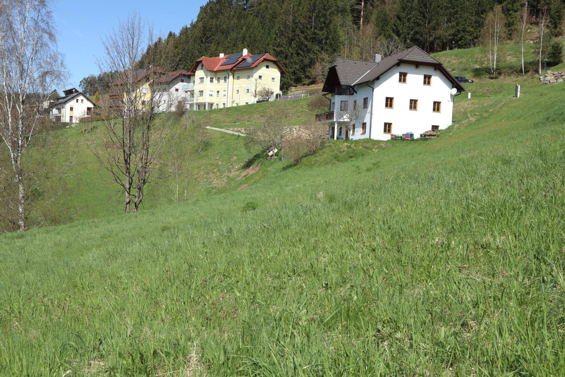 Idyllische Ansicht eines weißen Hauses auf einem sonnigen, grünen Hang mit weiteren Gebäuden und Wald im Hintergrund.