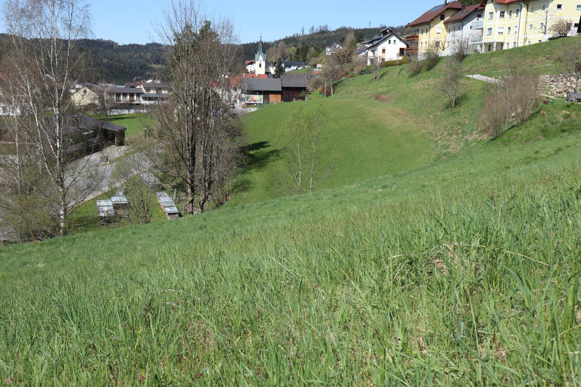 Weitläufiger Blick über eine grüne Wiese auf ein Dorf mit Häusern und einer Kirche im Hintergrund.