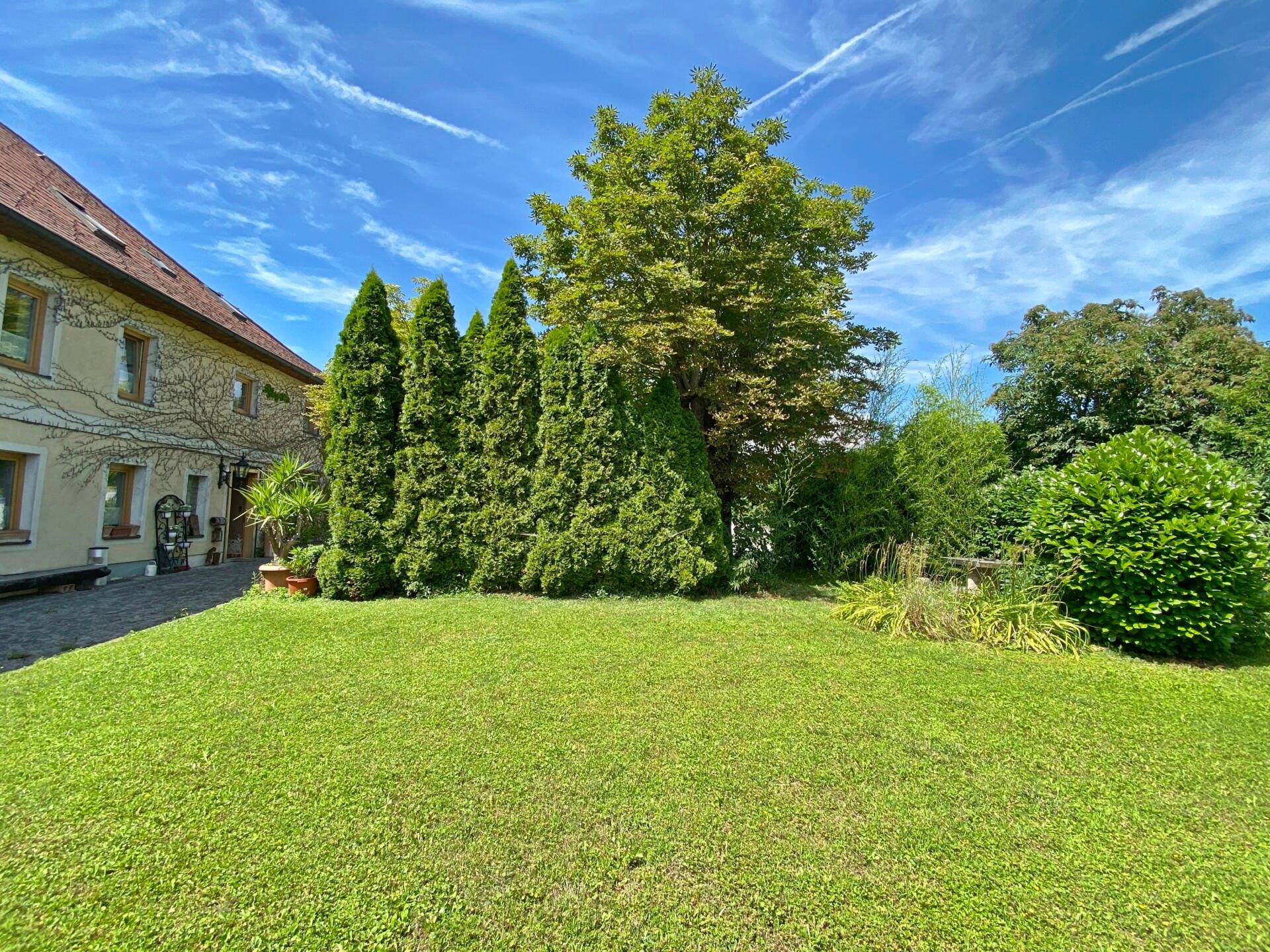 Gepflegter Rasenbereich im Garten mit hohen Bäumen und Sträuchern neben dem Gebäude.