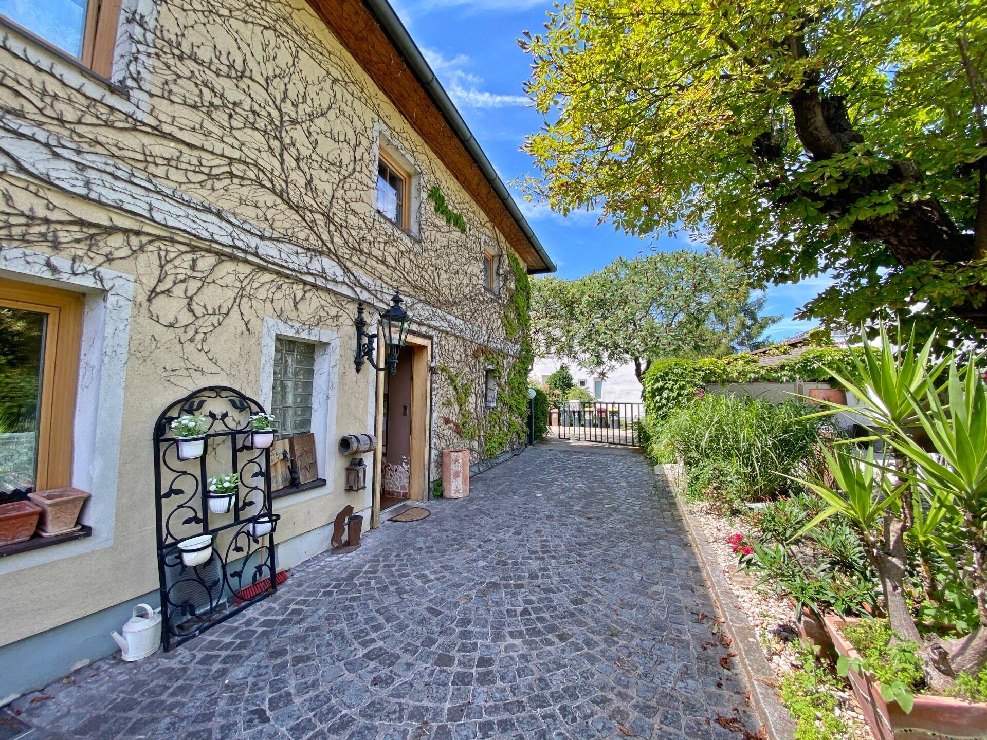 Kopfsteinpflaster-Zufahrt zum Gebäude mit üppiger Begrünung und traditioneller Laterne.