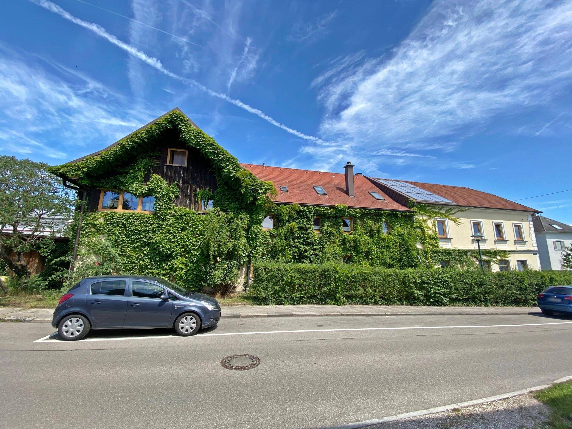 Langes Gebäude mit rotem Ziegeldach und üppiger Efeubegrünung an der Fassade.