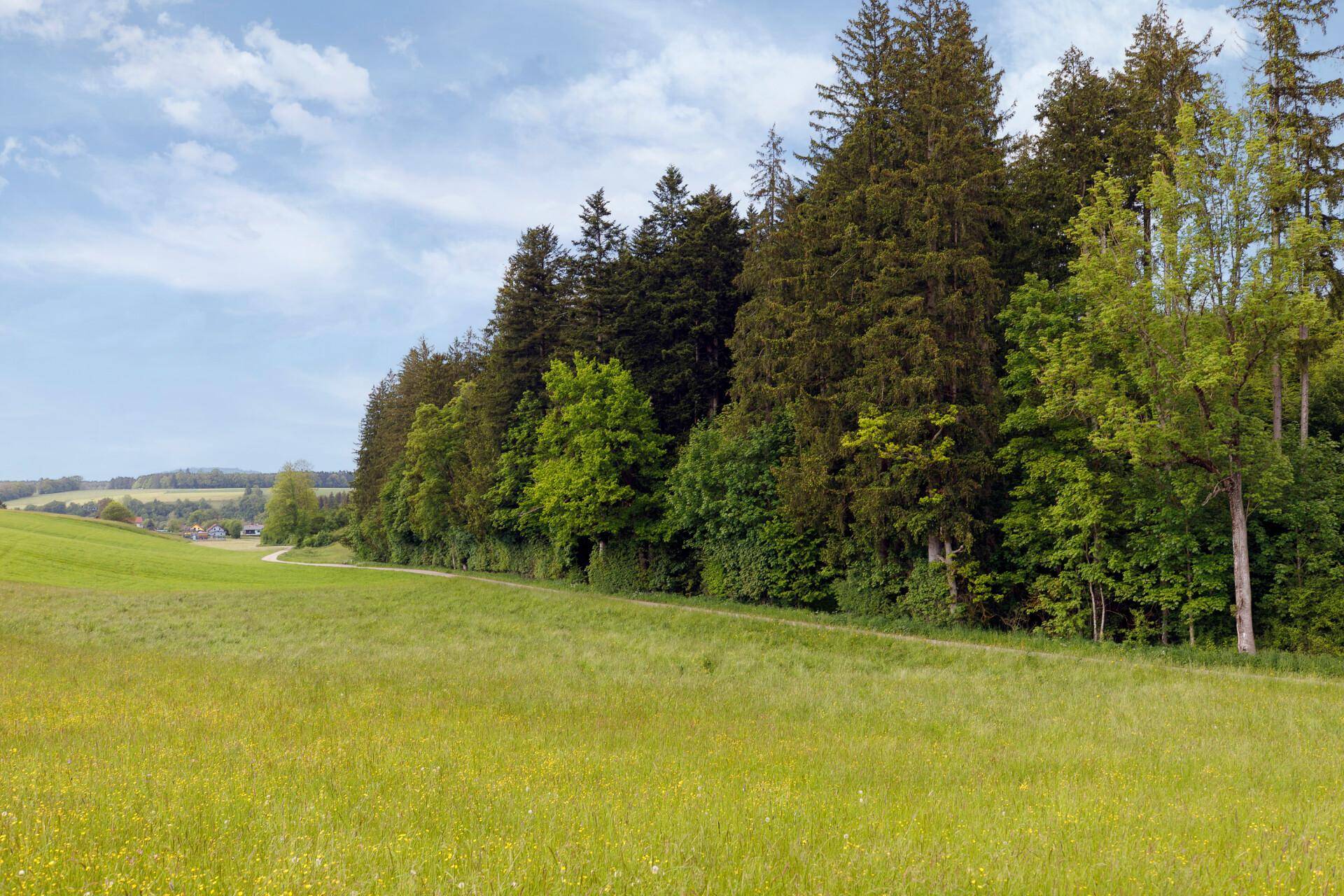 Landwirtschaftliche Flächen