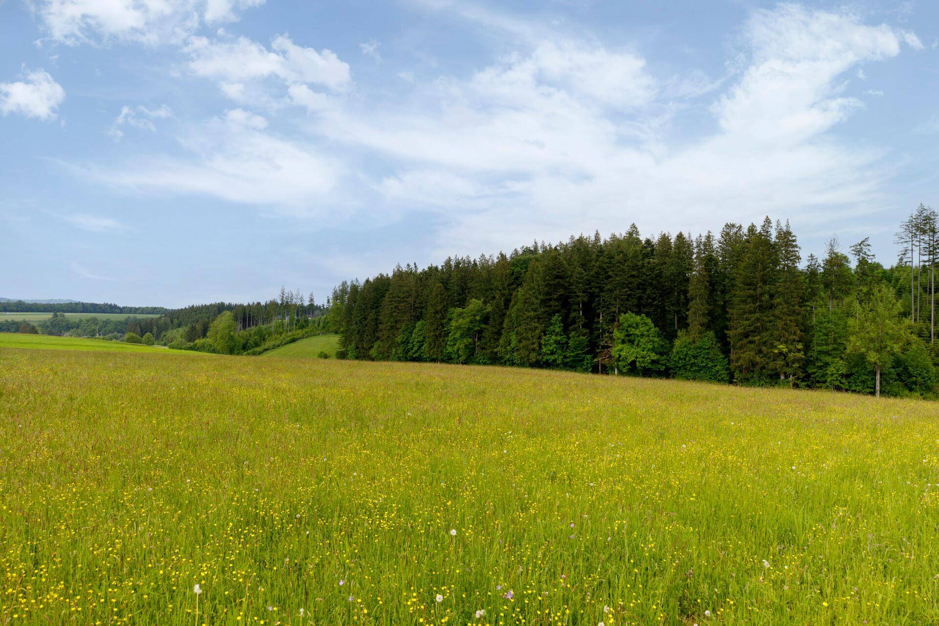 Landwirtschaftliche Flächen