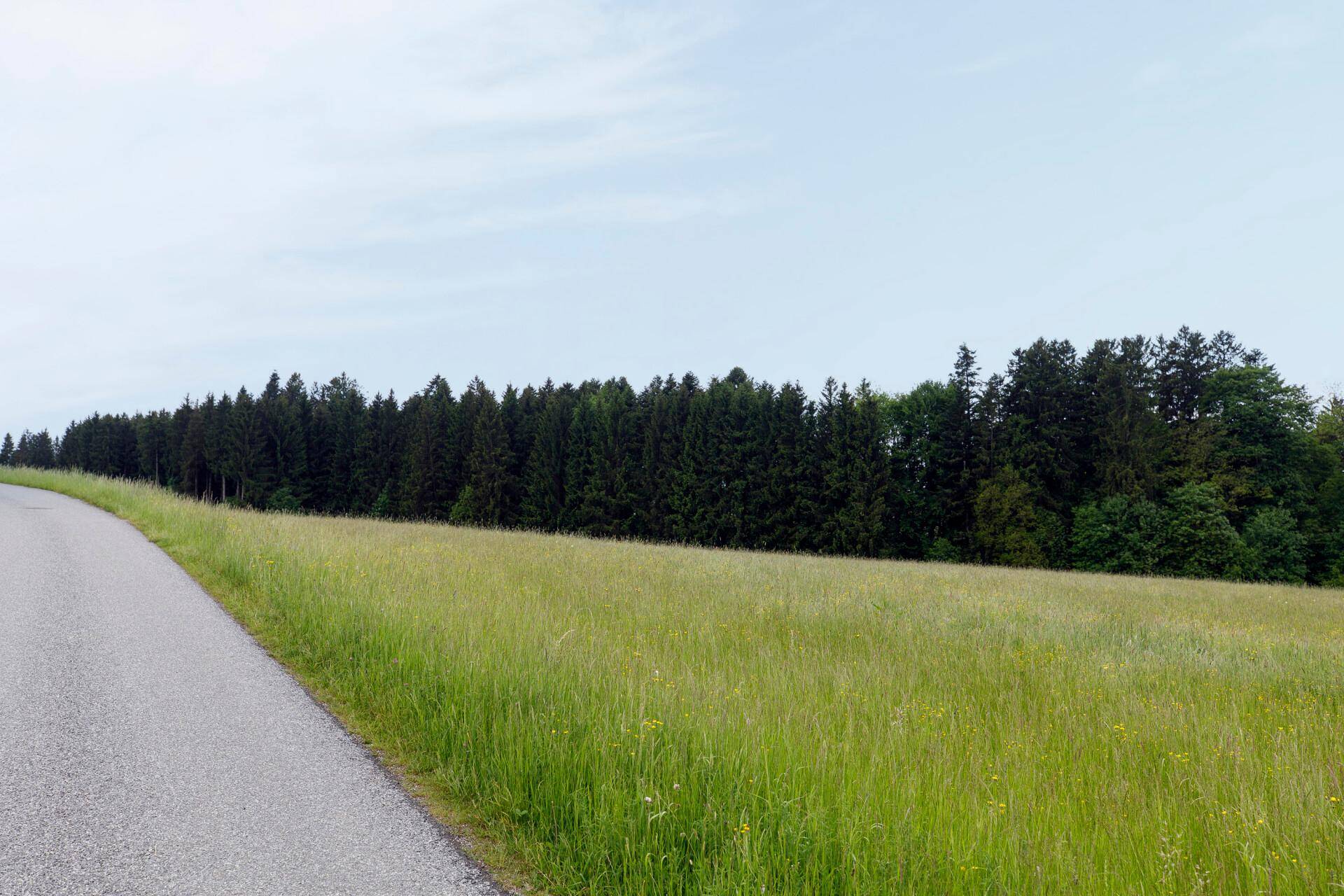 Landwirtschaftliche Flächen