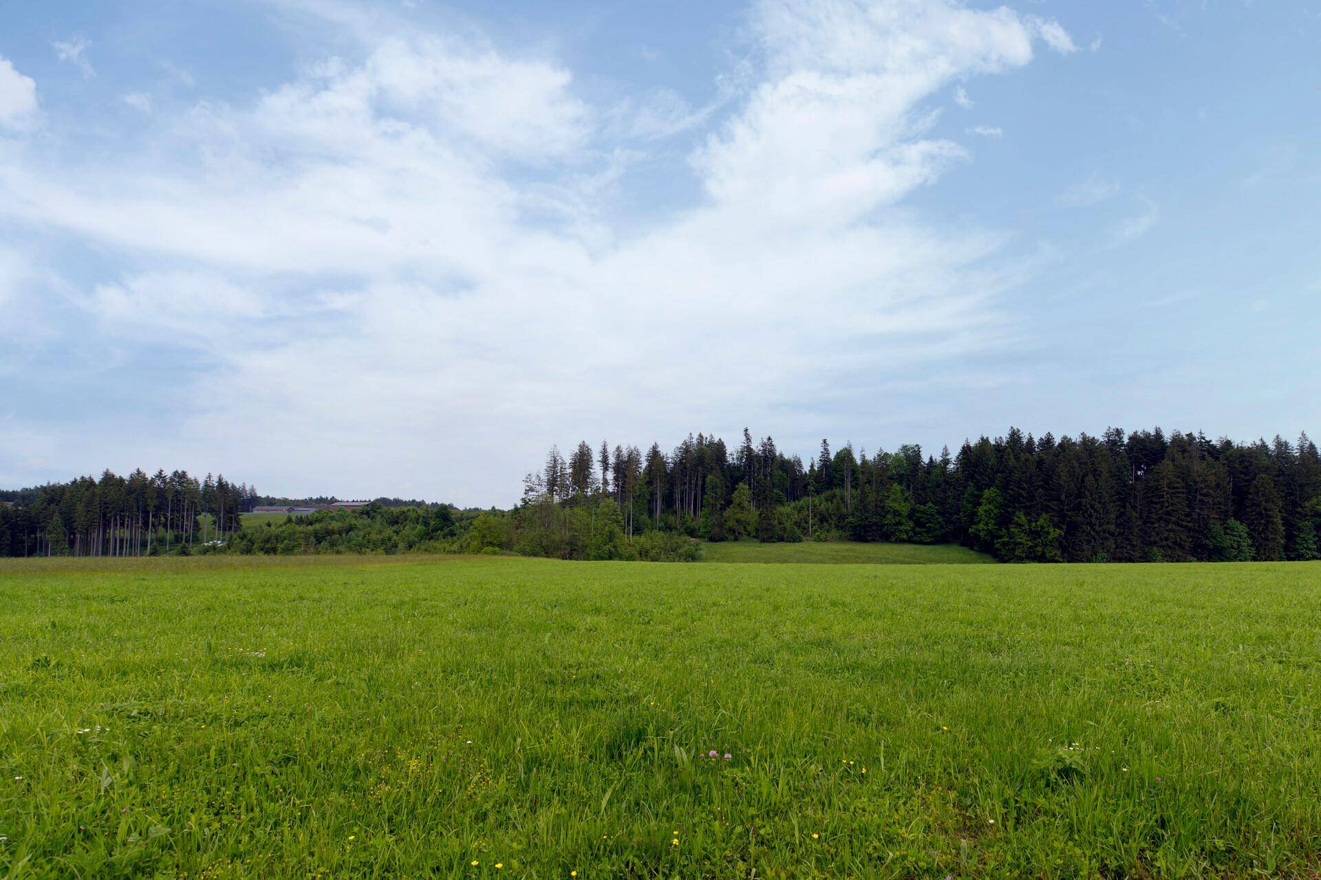 Landwirtschaftliche Flächen