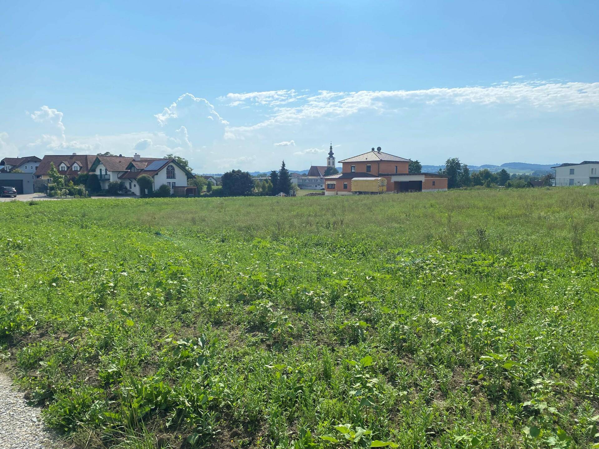 Sonnige Wiesenlandschaft mit einer Siedlung und einer Kirche im Hintergrund unter klarem blauem Himmel.