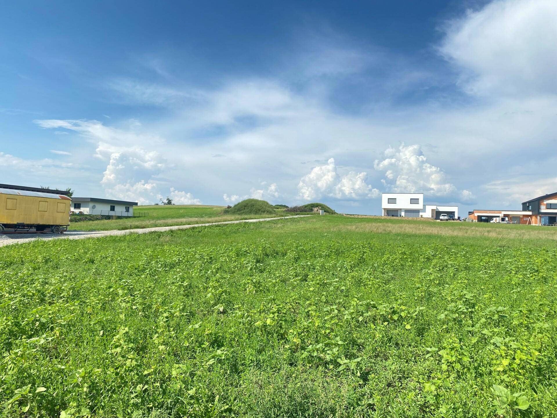 Grüne Wiesenfläche mit modernen Neubauten und einem gelben Container in der Ferne unter blauem Himmel.