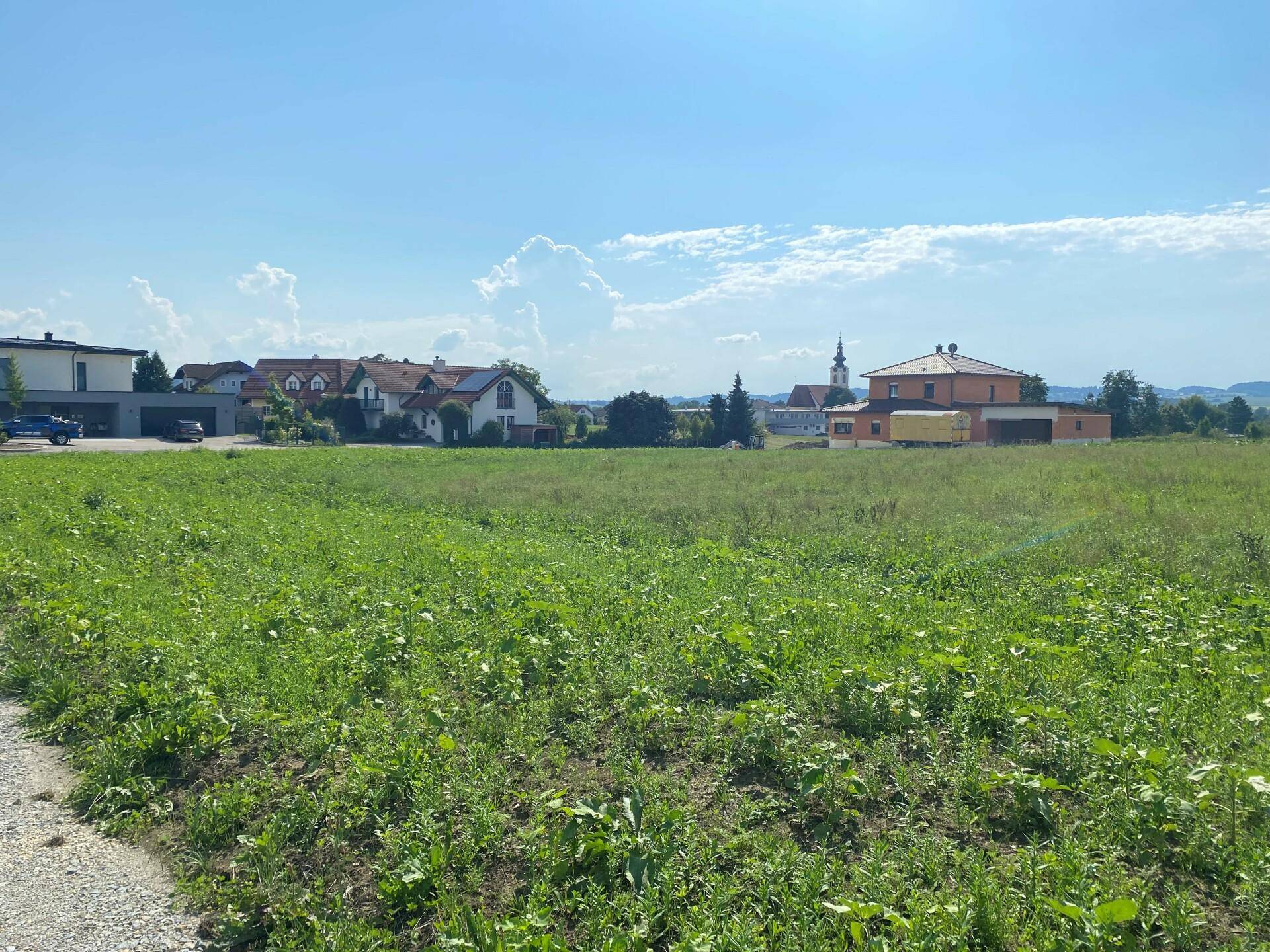 Sonnige Wiesenlandschaft mit einer Siedlung und einer Kirche im Hintergrund unter klarem blauem Himmel.