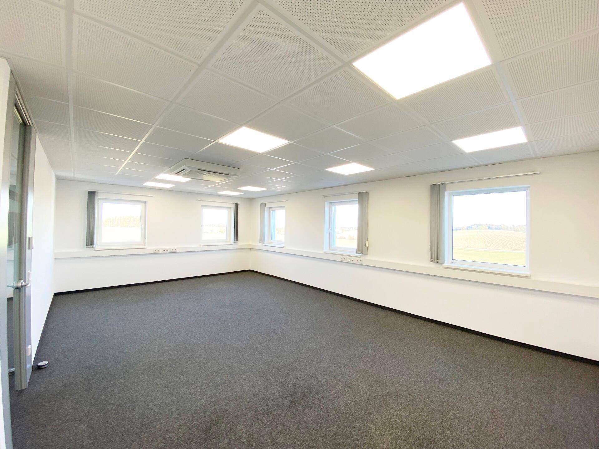 Großes, helles Büro mit Teppichboden, vielen Fenstern und einer abgehängten Decke mit integrierter Beleuchtung.