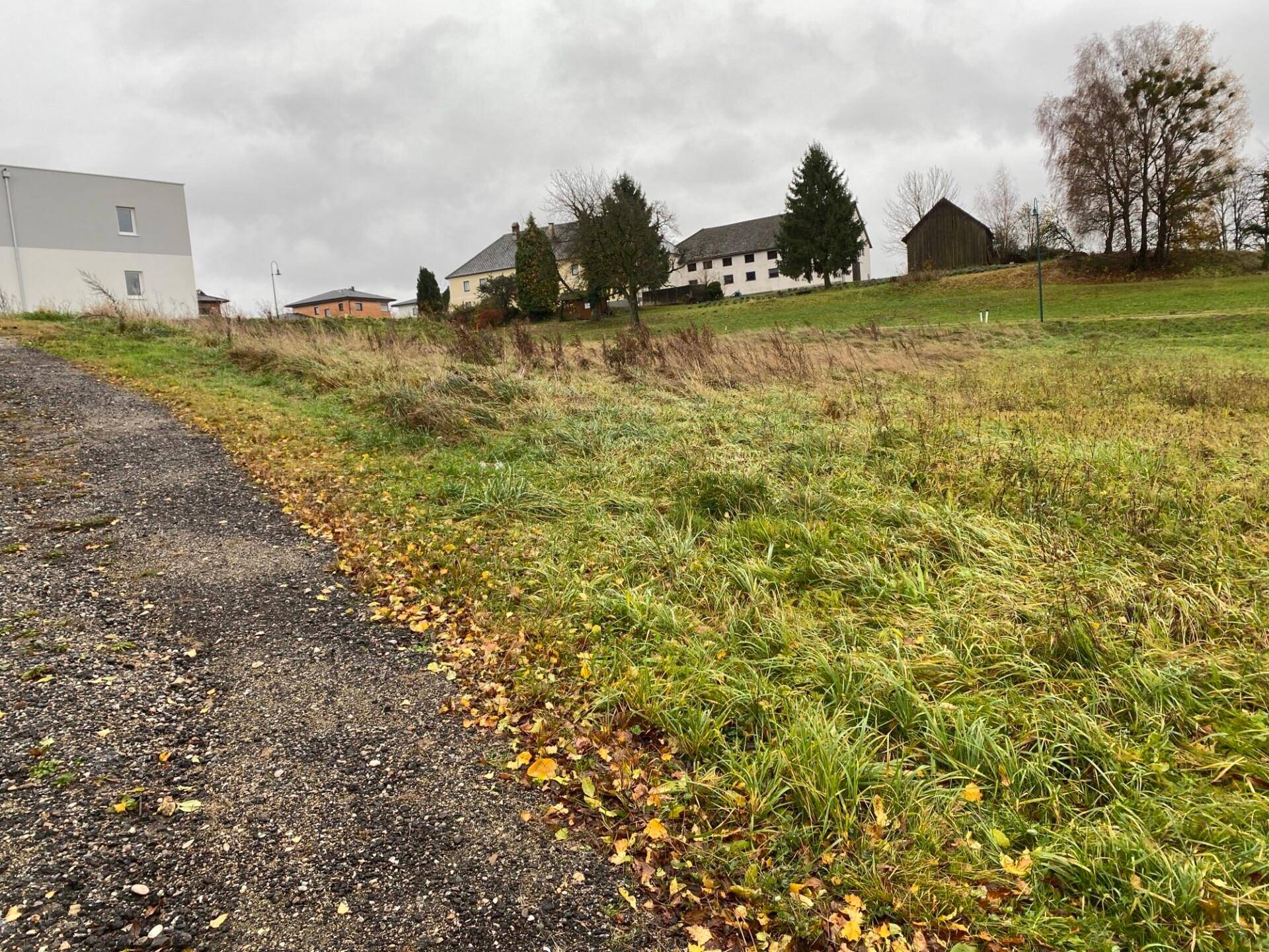 Mein Baugrund in Münzbach: nur mehr 1 Baugrund verfügbar-Neuer Preis! - Ansicht 2