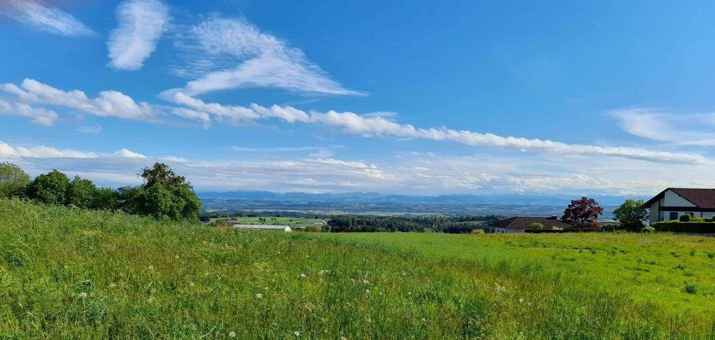 Mein Baugrund im Weingarten (6 Baugründe) - Ansicht 4