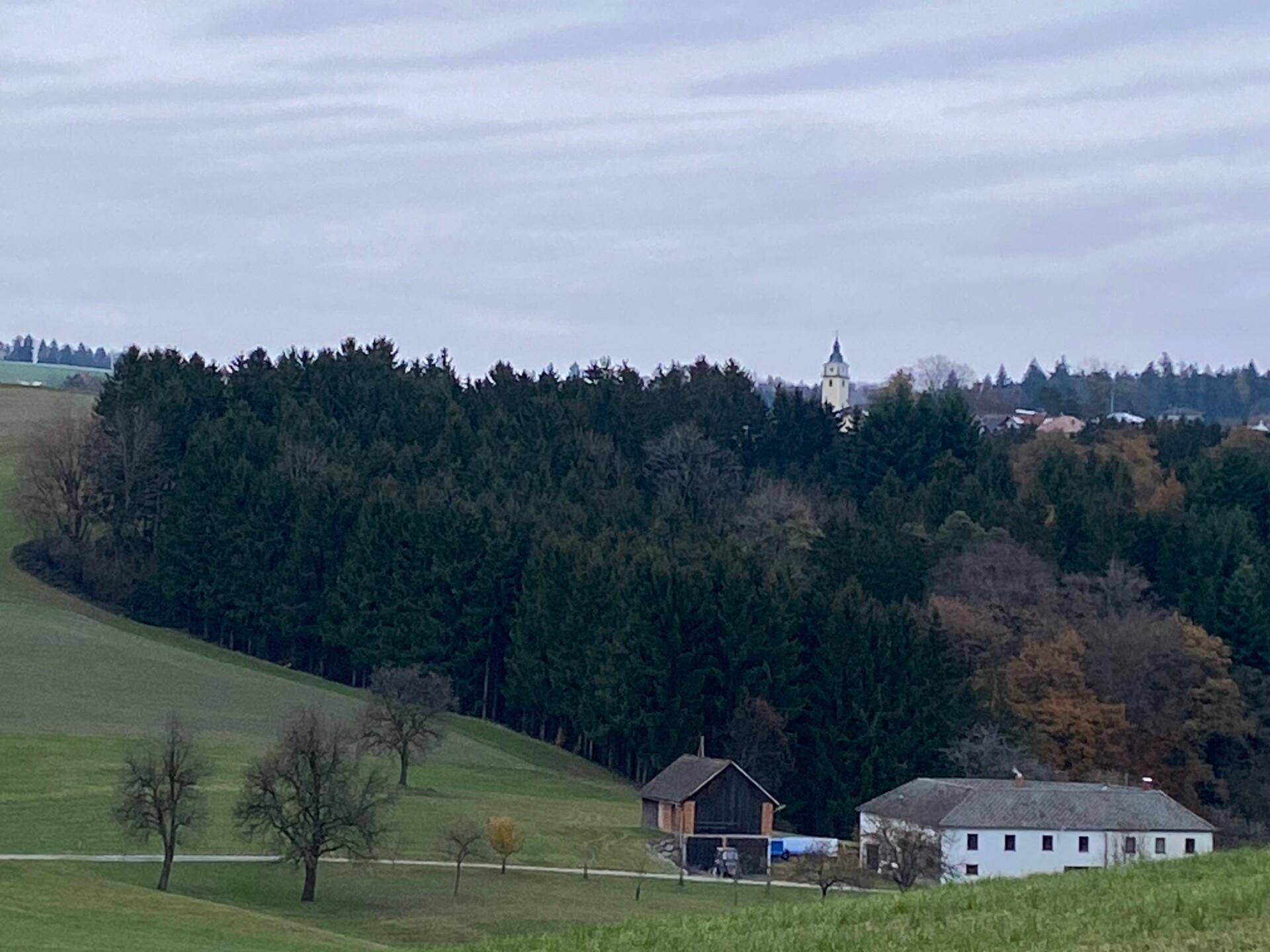 Mein Baugrund im Weingarten (6 Baugründe) - Ansicht 3