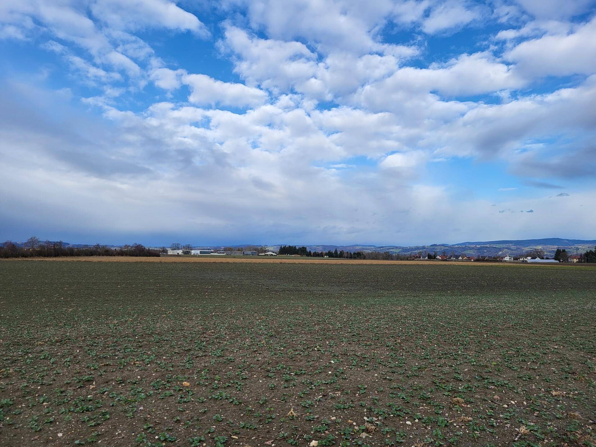 Landwirtschaftlicher Nutzgrund