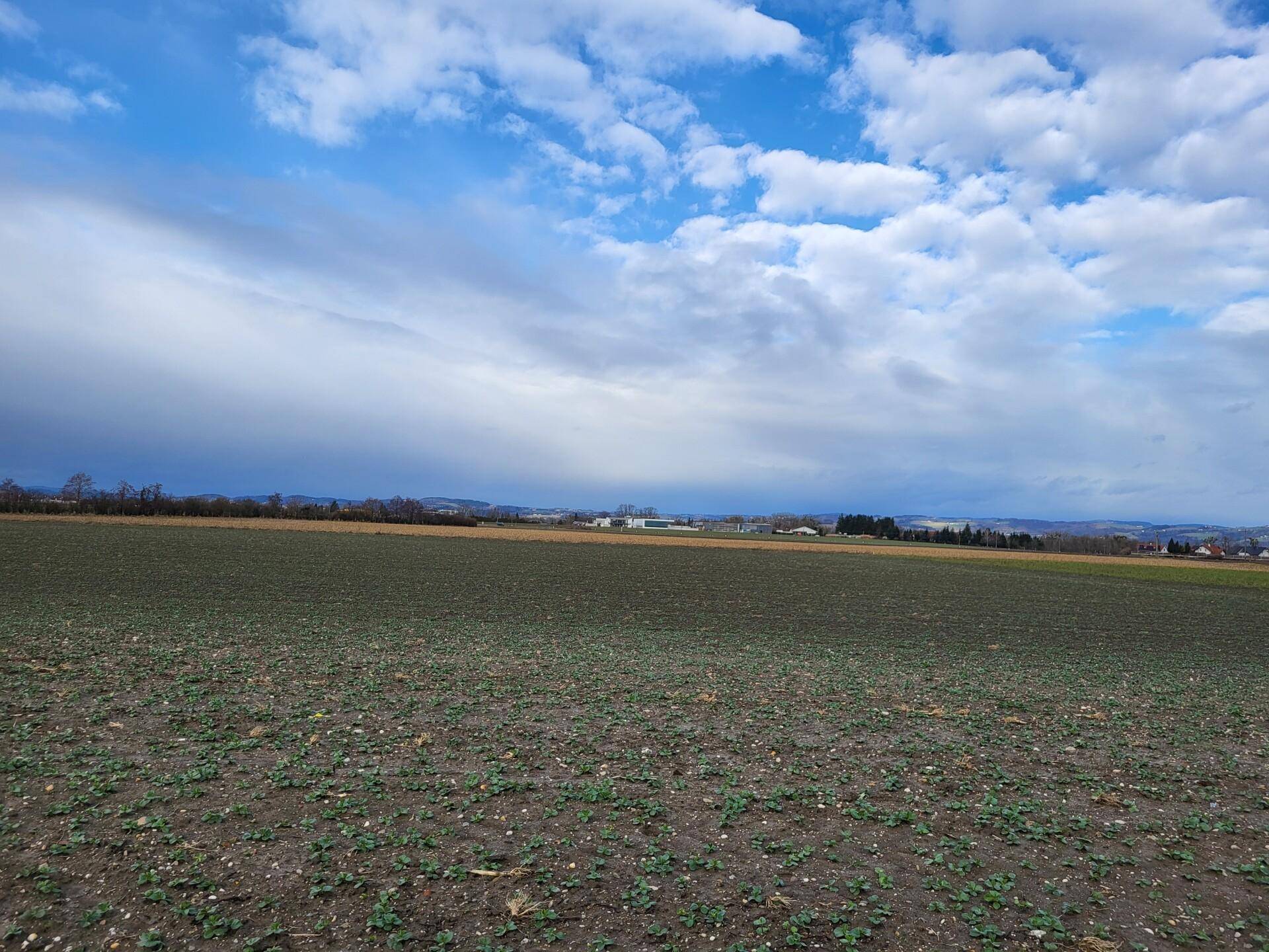 Landwirtschaftlicher Nutzgrund