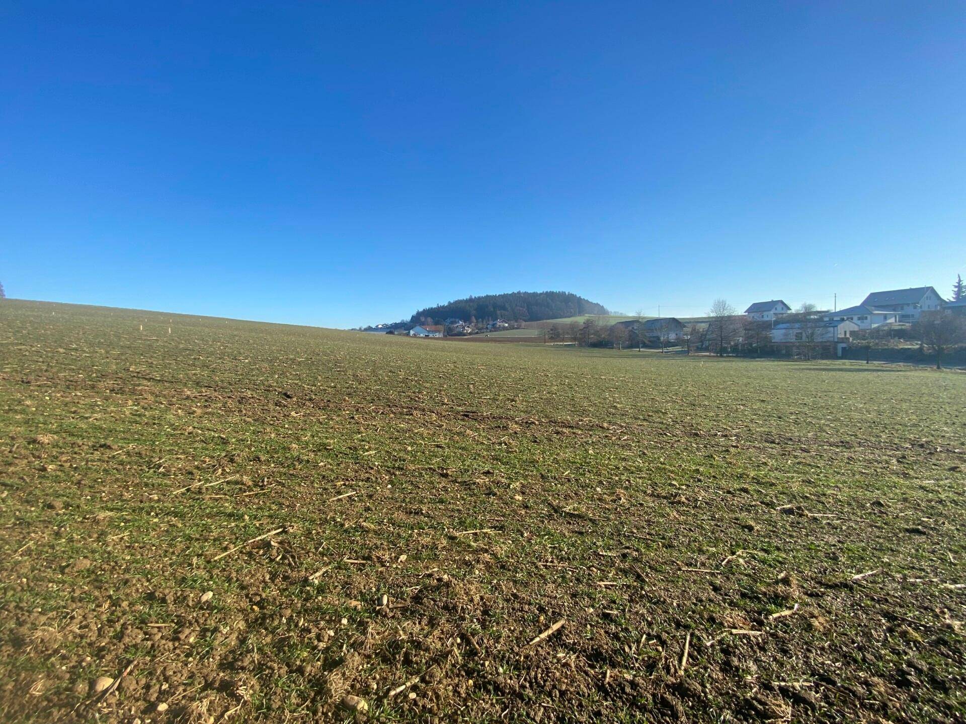 Weitläufiges Feld mit Blick auf eine Siedlung und bewaldete Hügel in der Ferne unter blauem Himmel.