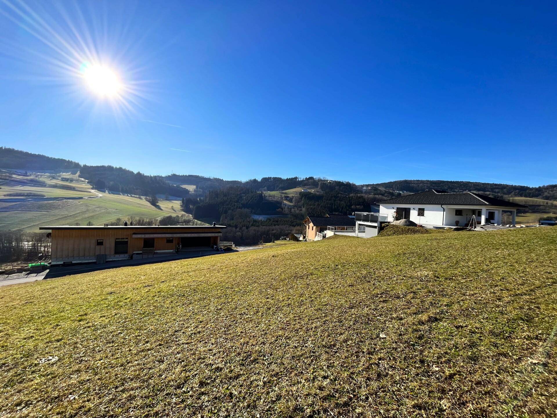 Panoramablick über eine sonnige Wiesenlandschaft mit modernen Häusern und bewaldeten Hügeln.
