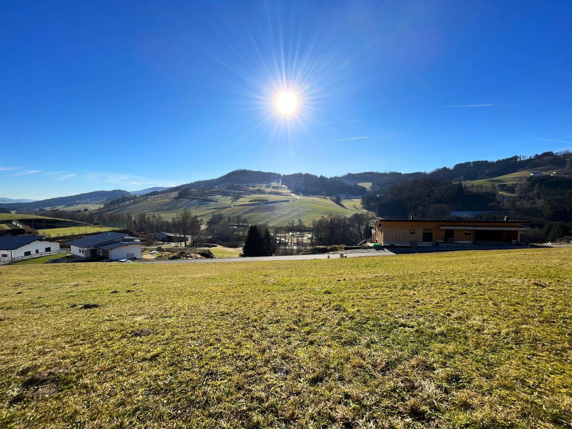 Sonnige Hügellandschaft mit weitem Blick über grüne Wiesen und einige Gebäude in der Ferne.