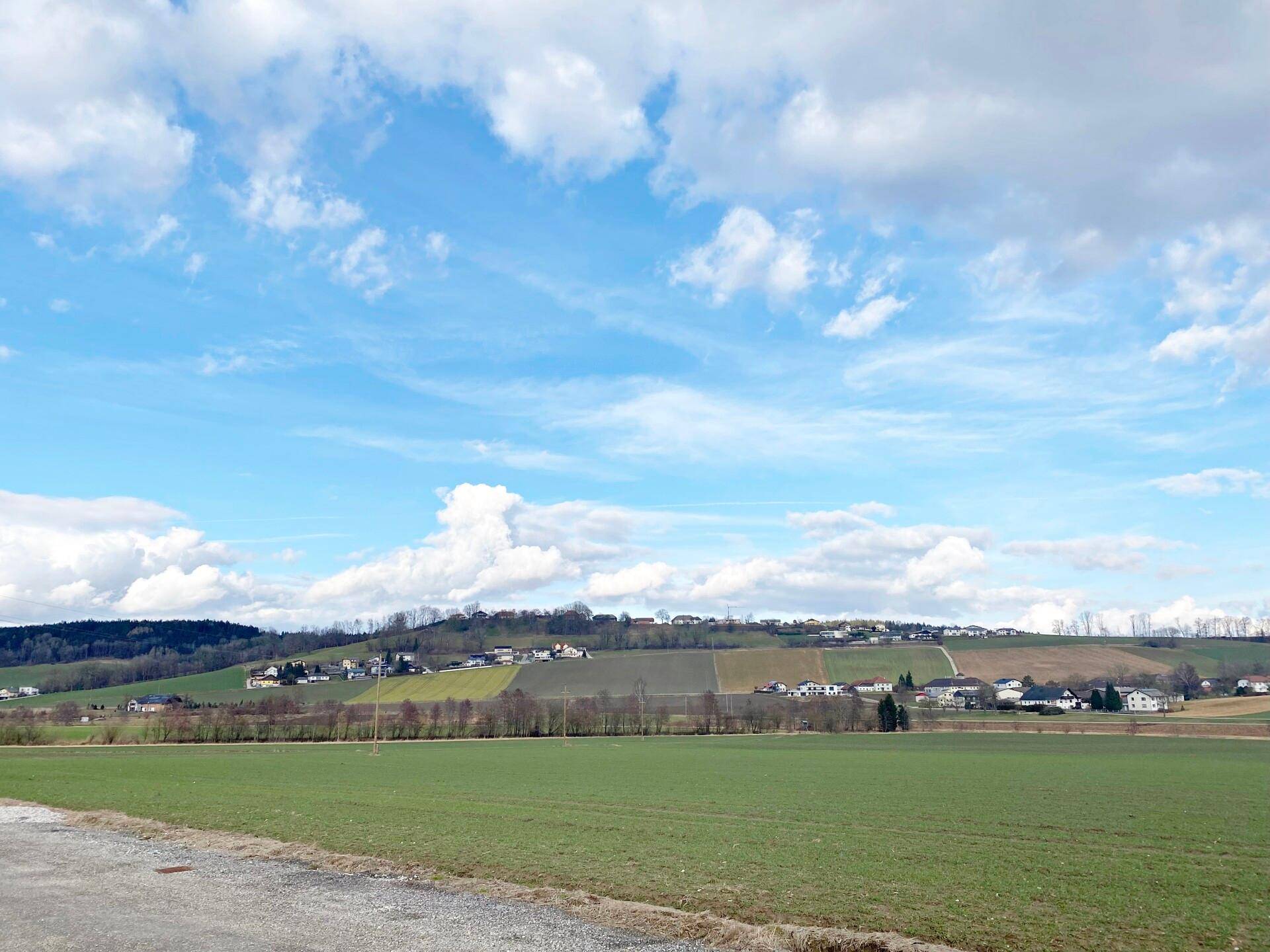 Panoramablick über weite grüne Felder und sanfte Hügel mit verstreuten Häusern unter einem strahlend blauen Himmel.