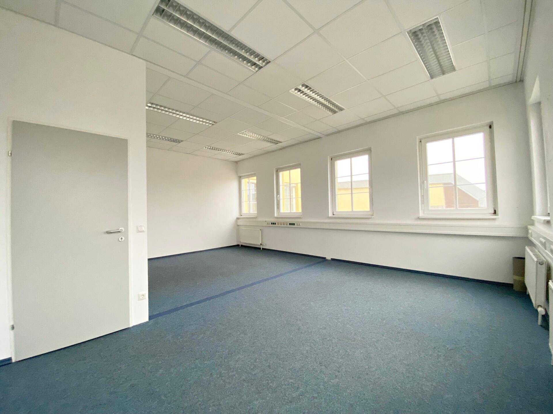 Weitläufiger Bürobereich mit mehreren Fenstern, blauem Teppich und funktionaler Deckenbeleuchtung.