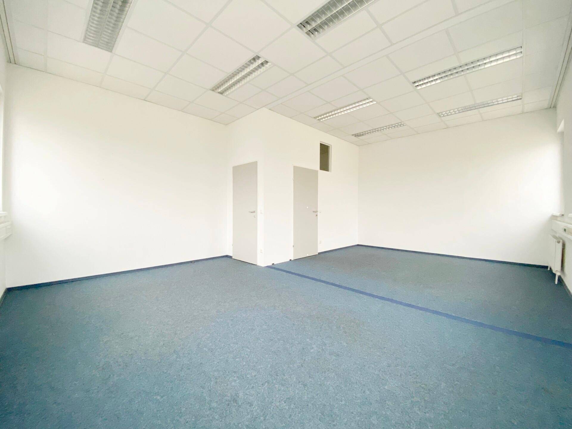 Heller Büroraum mit blauem Teppichboden, weißen Wänden und Deckenplatten mit integrierter Beleuchtung.