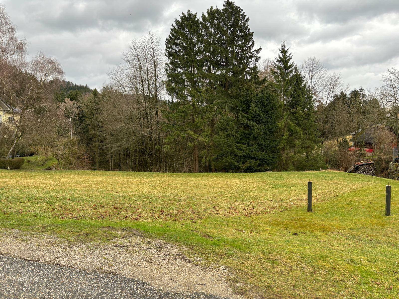 Baugrundstück mit Blick auf die Burg Kreuzen - Ansicht 2