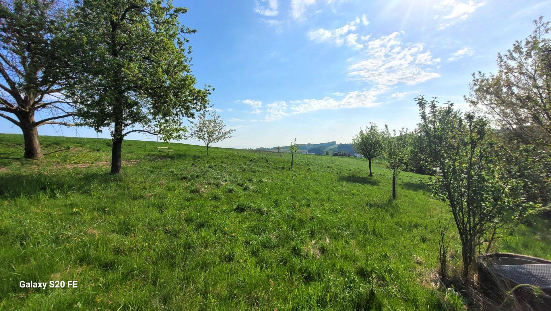 Reschengut