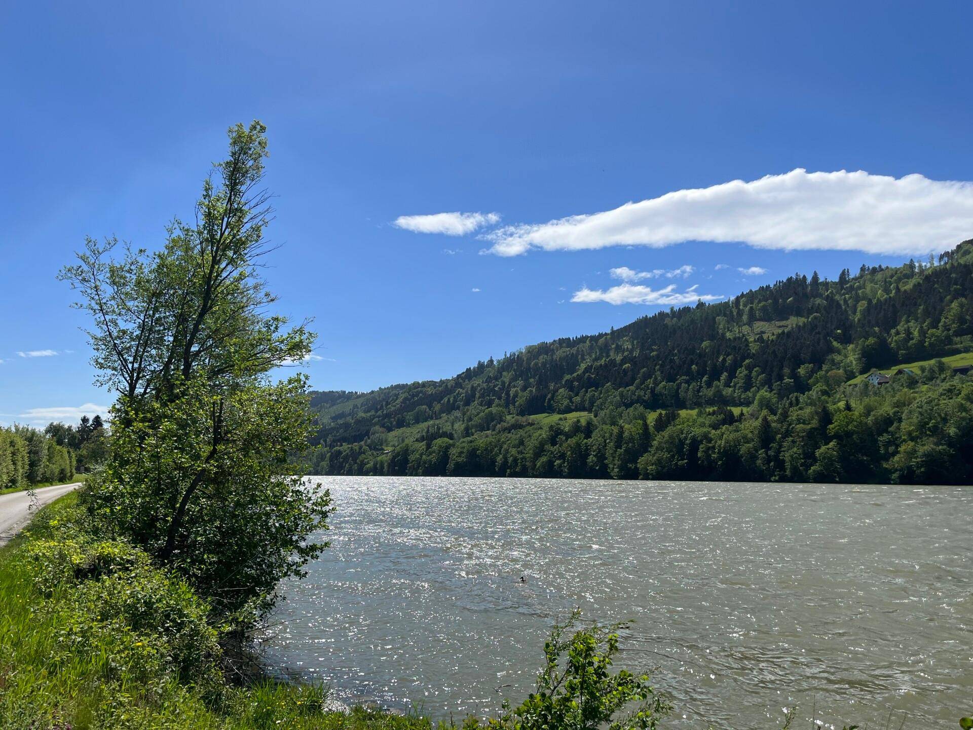 Ausblick Donau