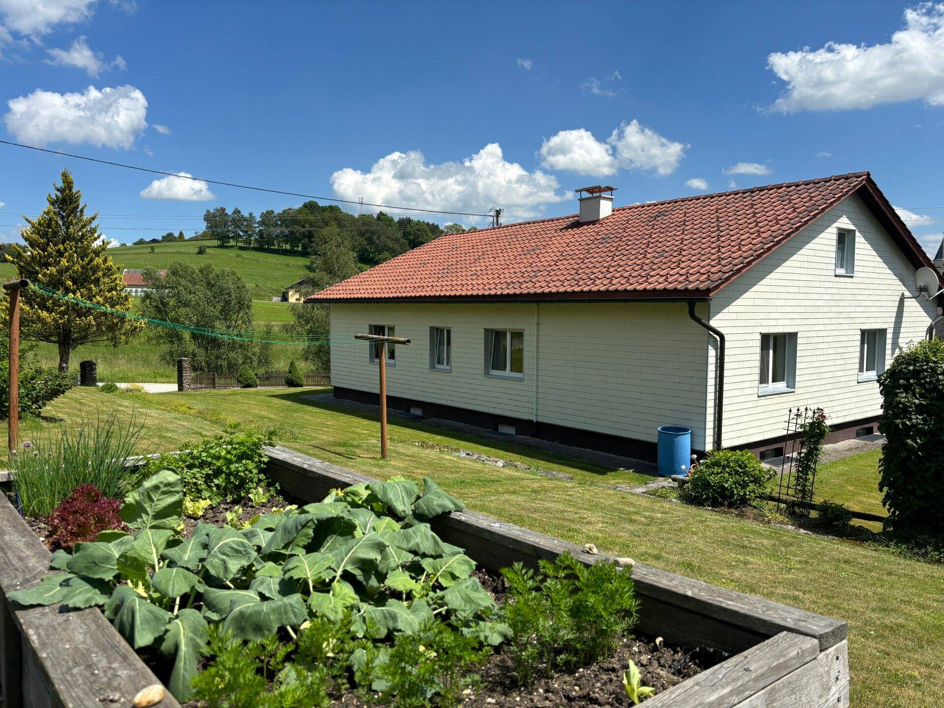 Garten hinten