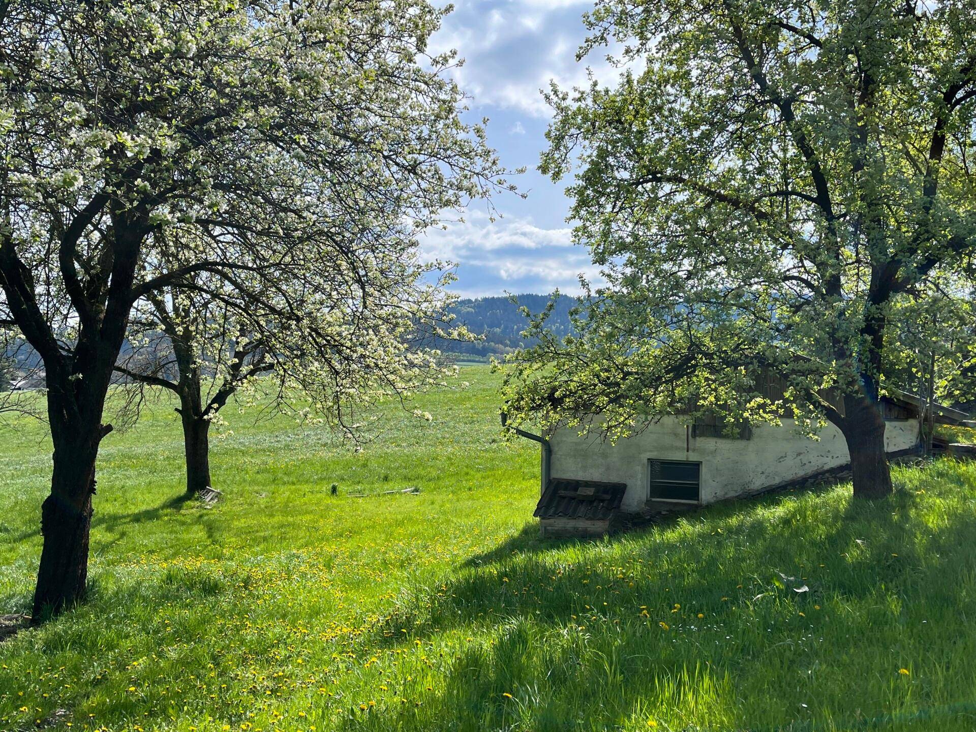 LN-Grundstück