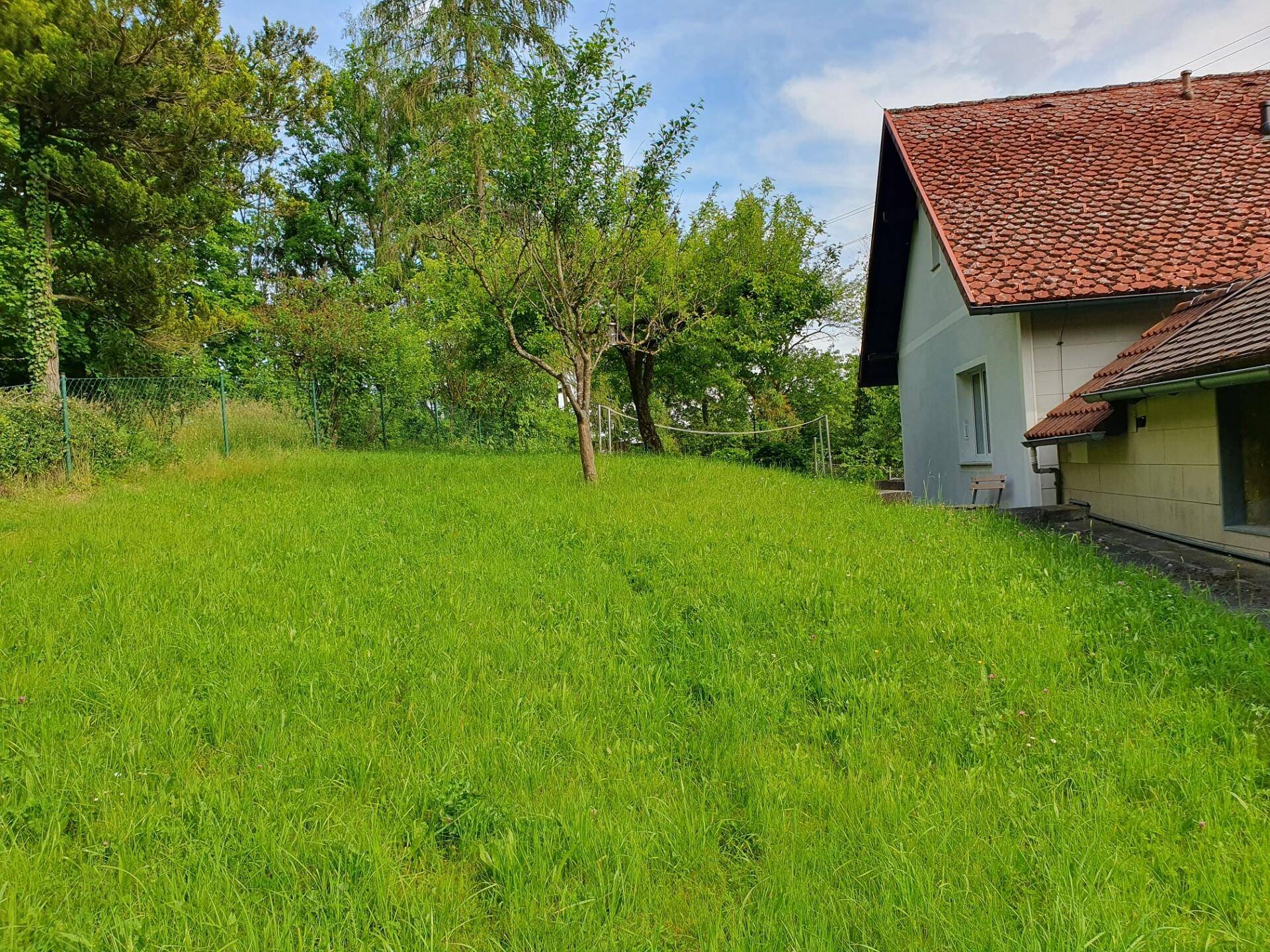 20240515_Kleines Eigenheim Burgwallstr Aussichtslage