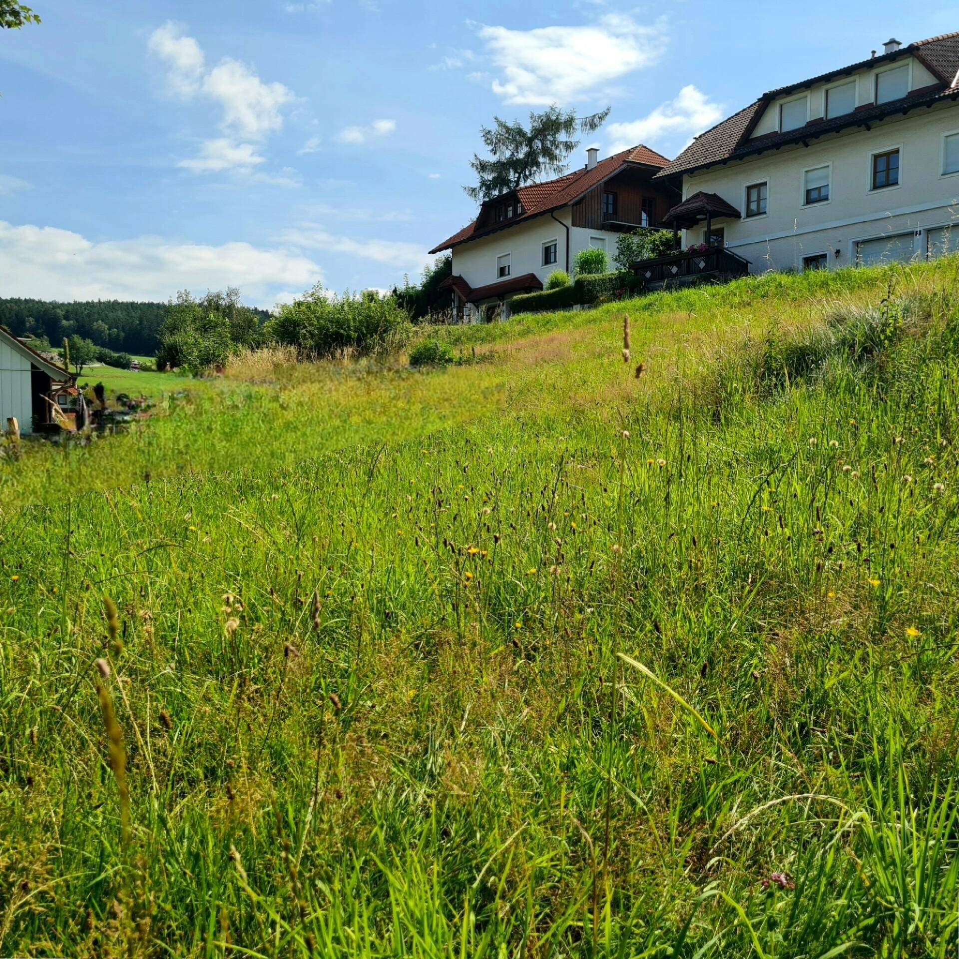 Grundstück