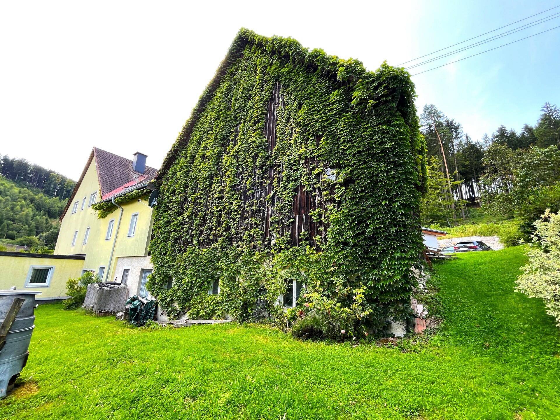 Stadl Rückansicht mit Haus