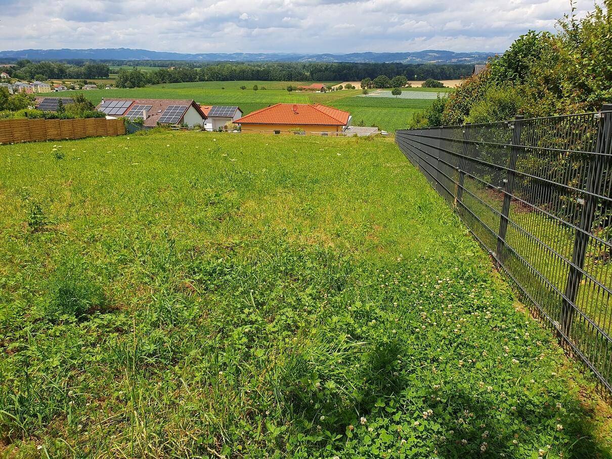 Rebenweg