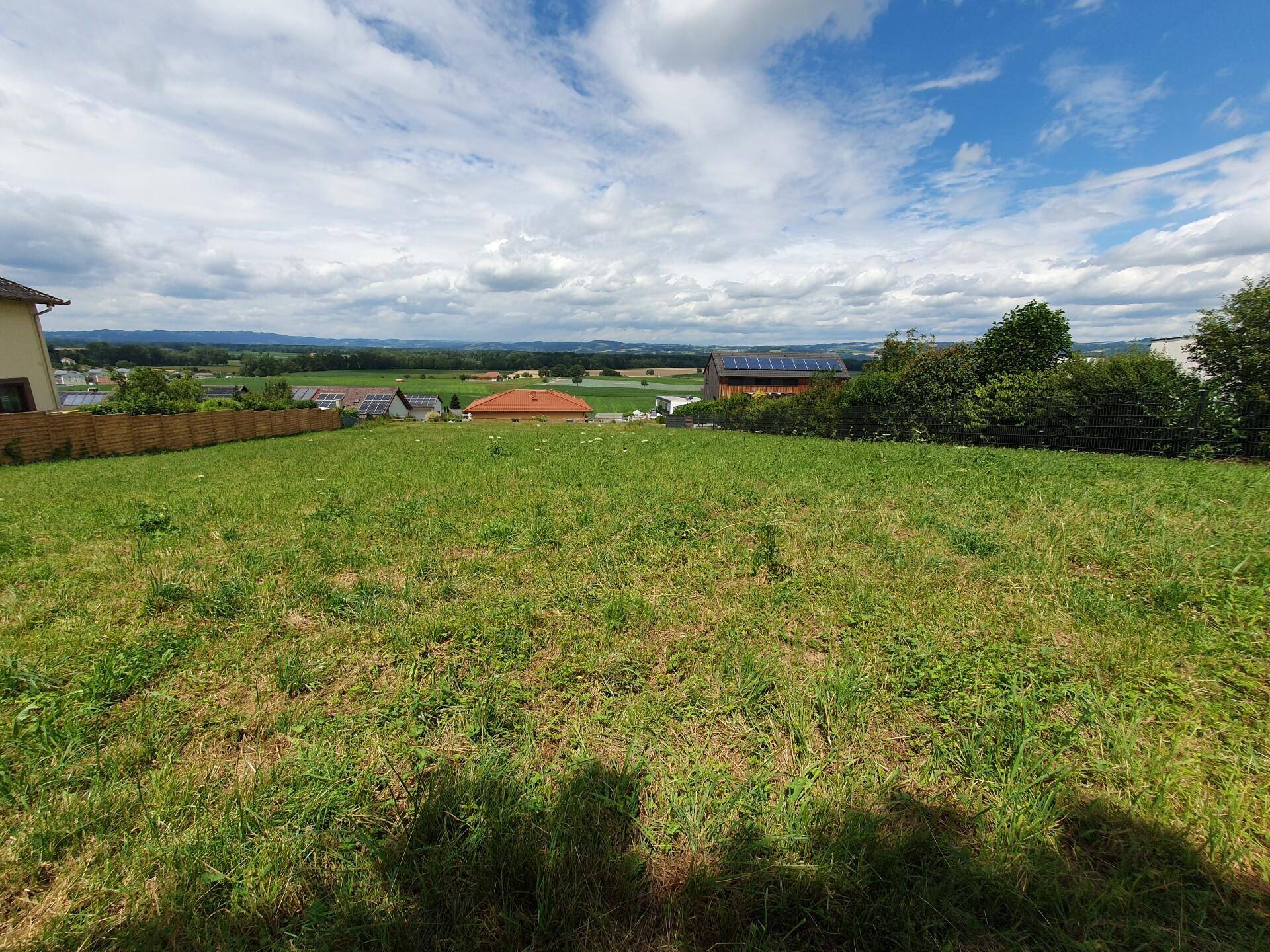 20240704_Rebenweg