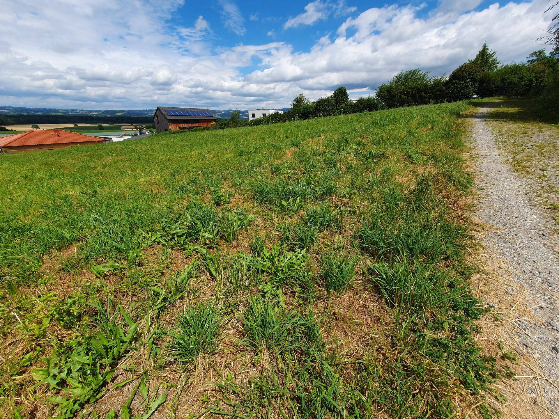 Rebenweg