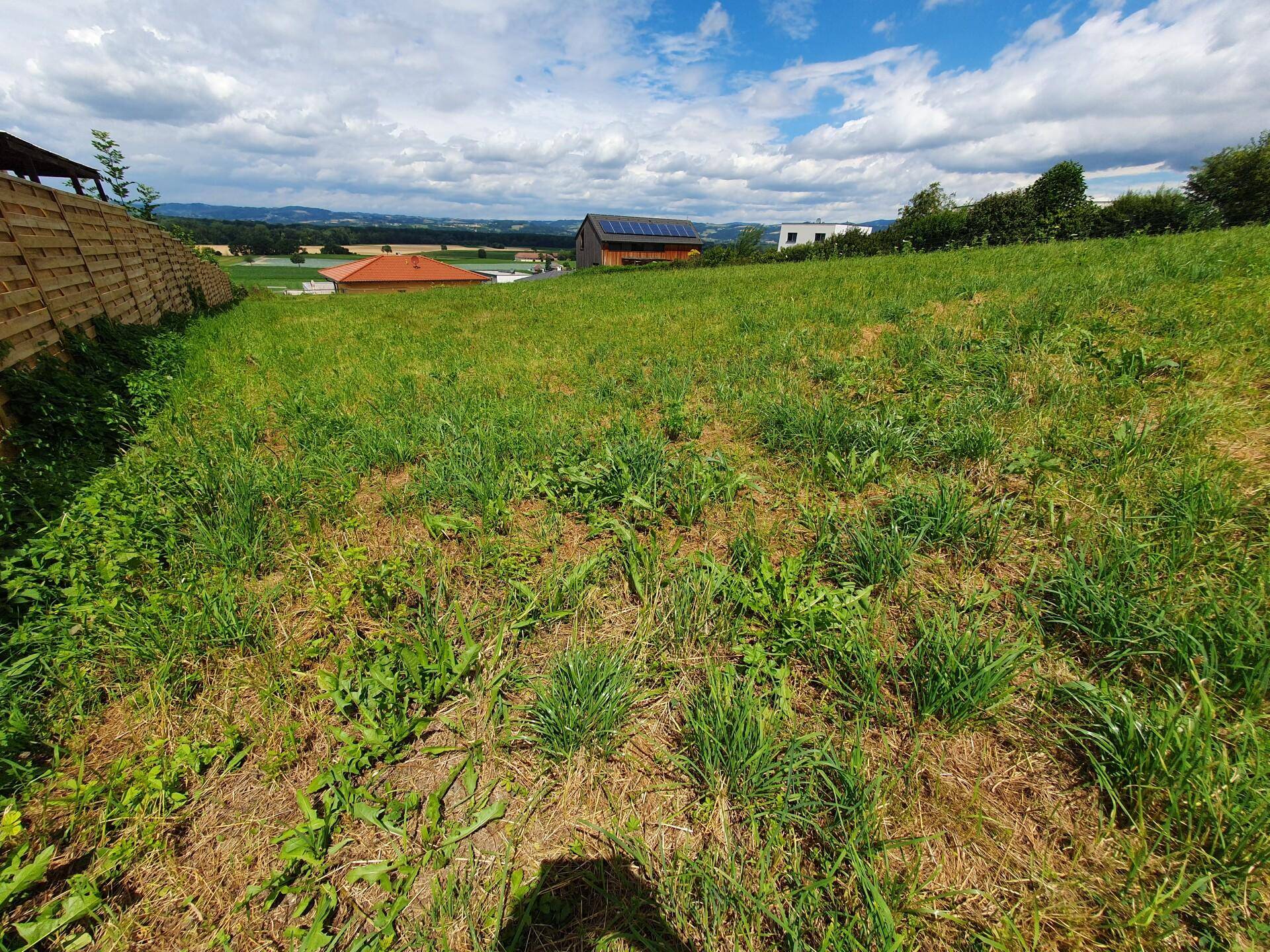 20240704_Rebenweg