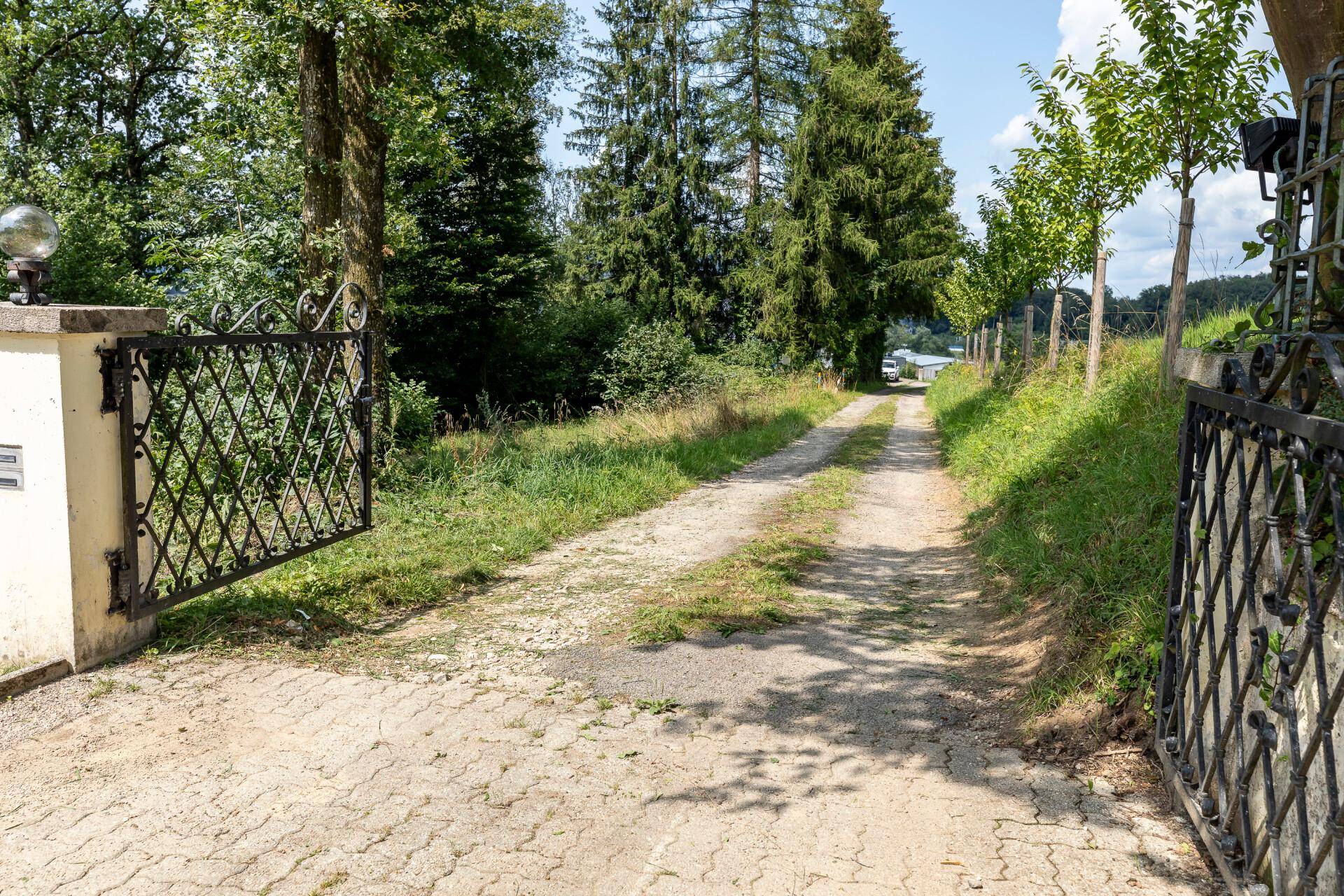 Lange, unbefestigte Auffahrt mit schmiedeeisernem Tor, umgeben von Bäumen und grüner Natur.
