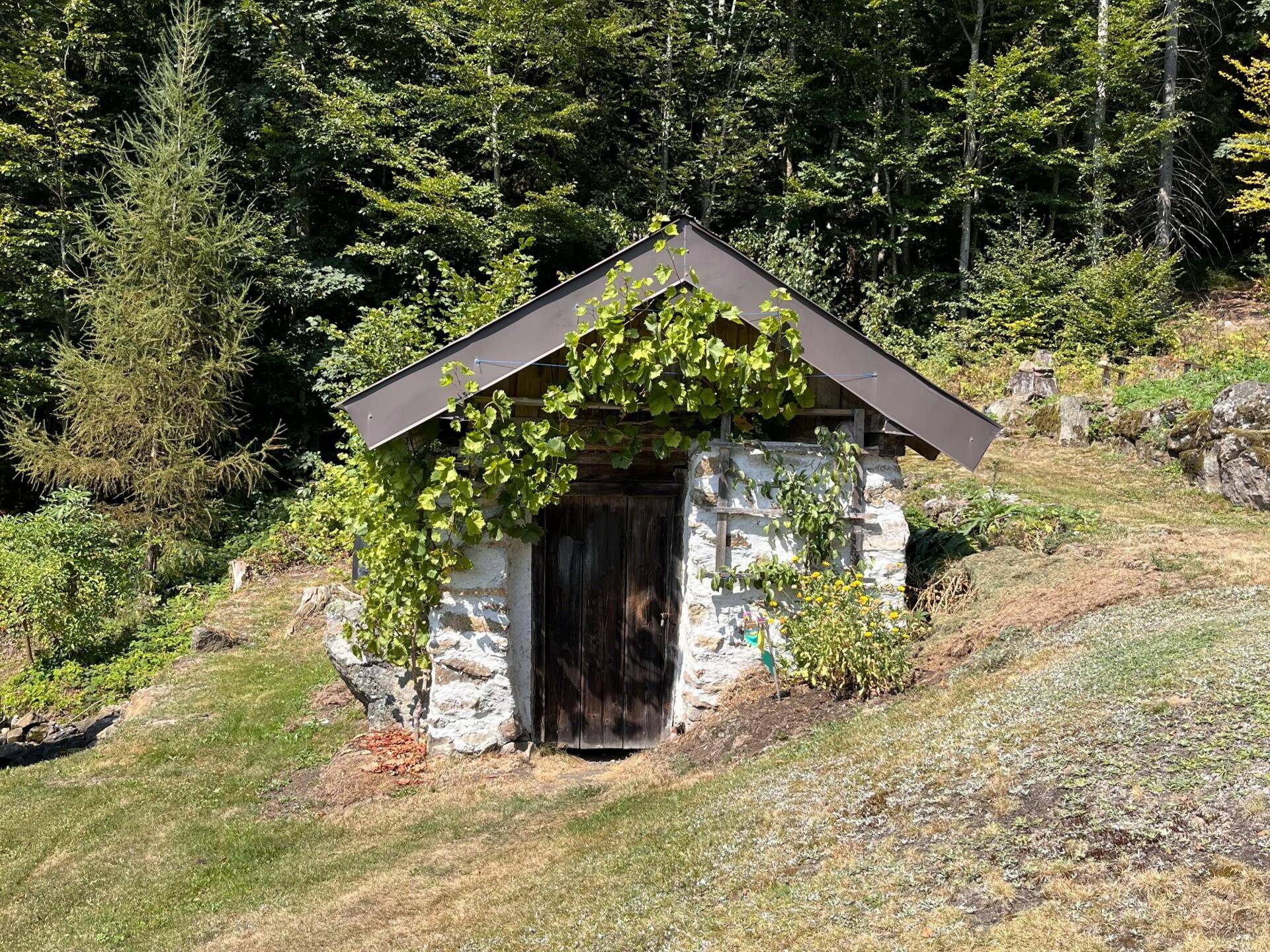Hütte