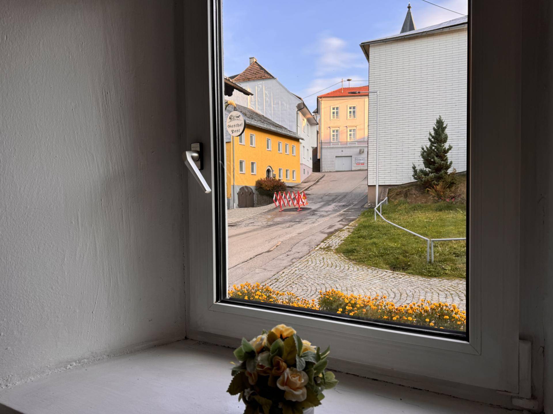 Fenster Wohnbereich EG