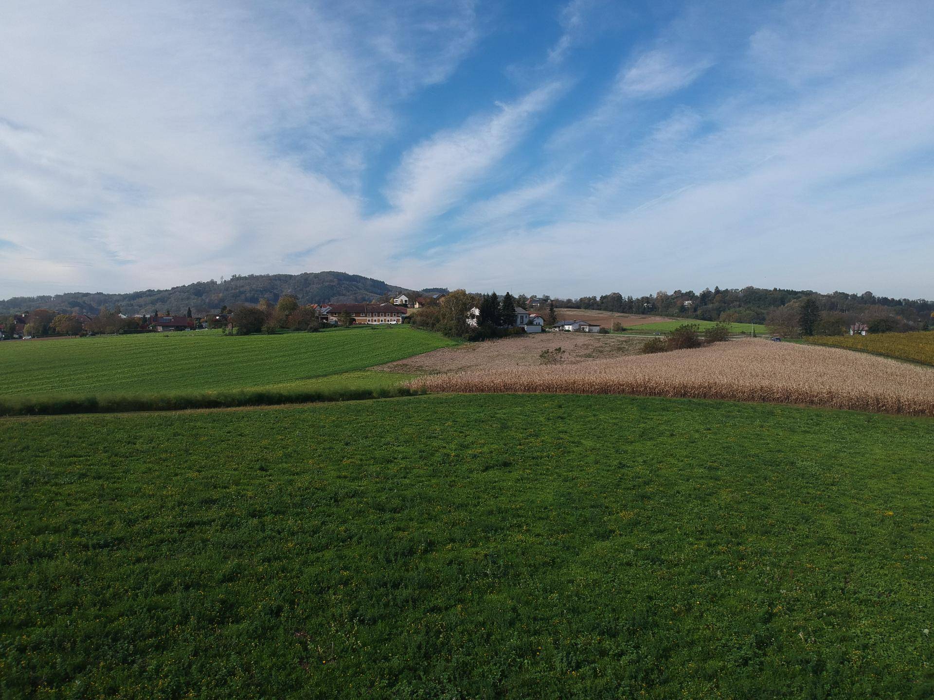 Idyllische Landschaft mit ausgedehnten grünen Feldern und einem Dorf am Fuße bewaldeter Hügel.