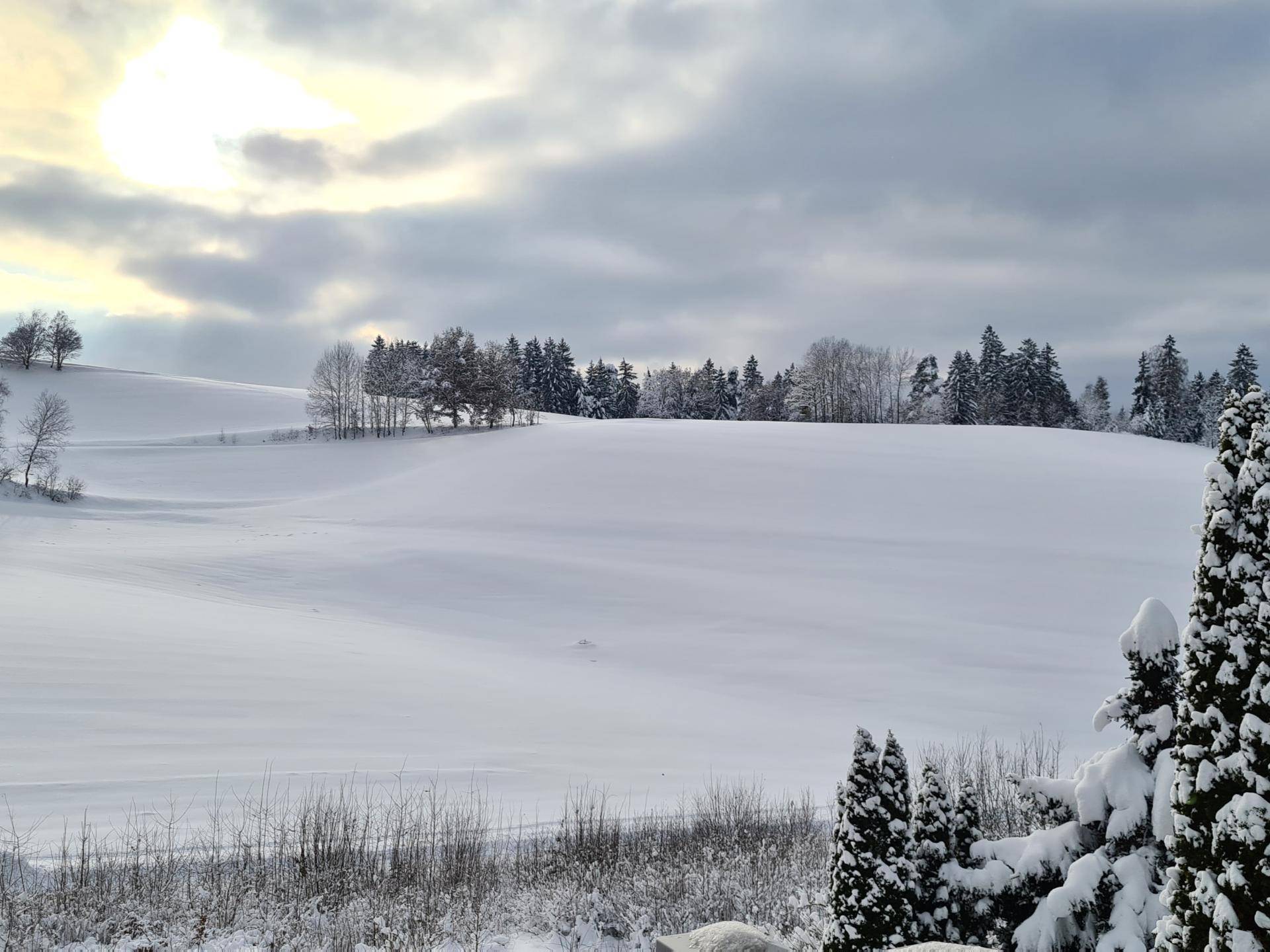 Ausblick Winter