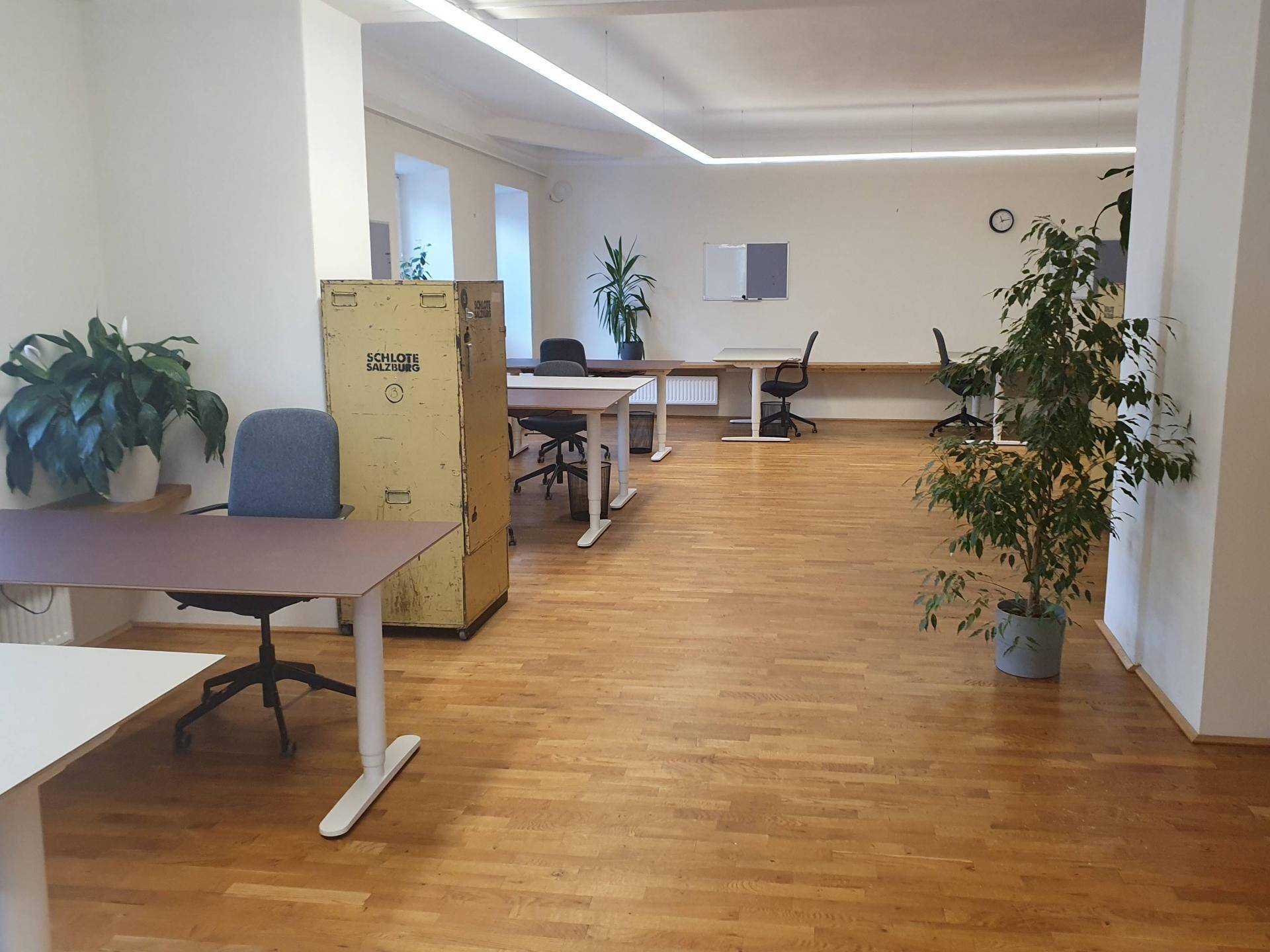 Geräumiges, helles Büro mit mehreren Schreibtischen, Holzboden und großen Pflanzen, ideal für Coworking.