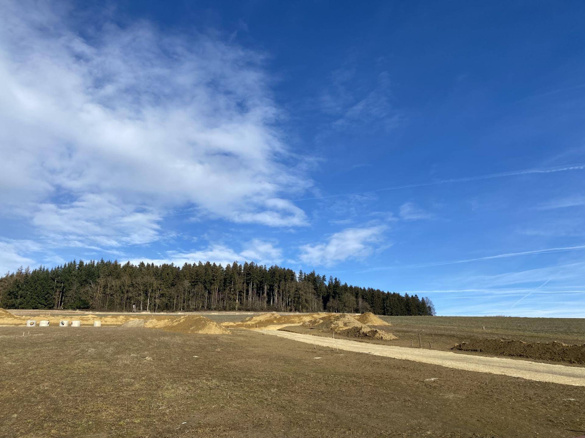 Offenes Feld mit Waldrand und weitem Horizont unter einem klaren Himmel.