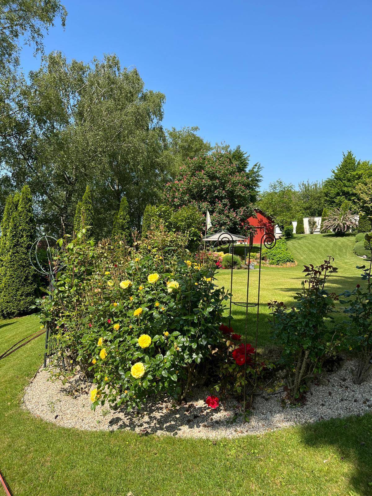 Farbenprächtiger Rosengarten mit gelben und roten Blüten, umgeben von Rasenflächen.